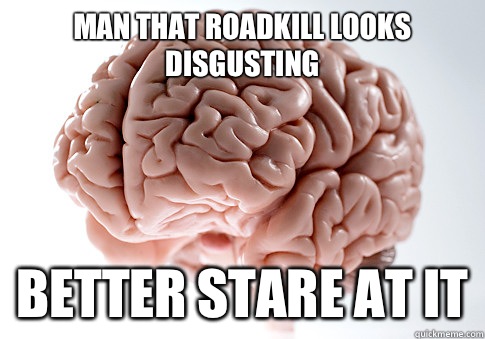 Man that roadkill looks disgusting Better stare at it  Scumbag Brain