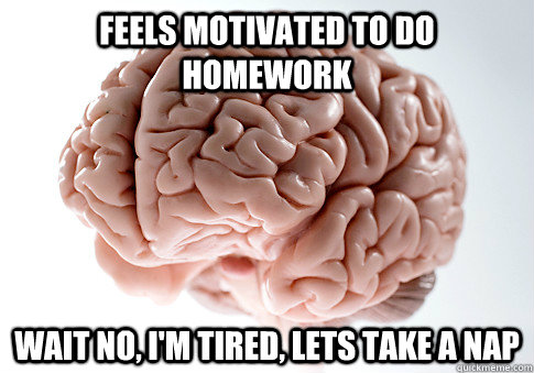 FEELS MOTIVATED TO DO HOMEWORK WAIT NO, I'M TIRED, LETS TAKE A NAP - FEELS MOTIVATED TO DO HOMEWORK WAIT NO, I'M TIRED, LETS TAKE A NAP  Scumbag Brain