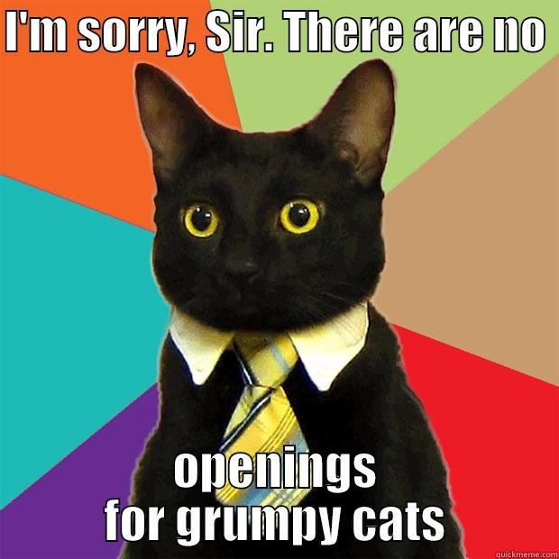 Cat Job Interview - I'M SORRY, SIR. THERE ARE NO  OPENINGS FOR GRUMPY CATS Business Cat