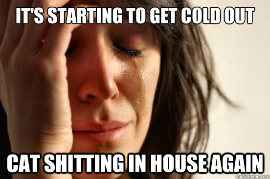 it's starting to get cold out cat shitting in house again  First World Problems