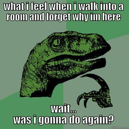 WHAT I FEEL WHEN I WALK INTO A ROOM AND FORGET WHY IM HERE WAIT... WAS I GONNA DO AGAIN? Philosoraptor