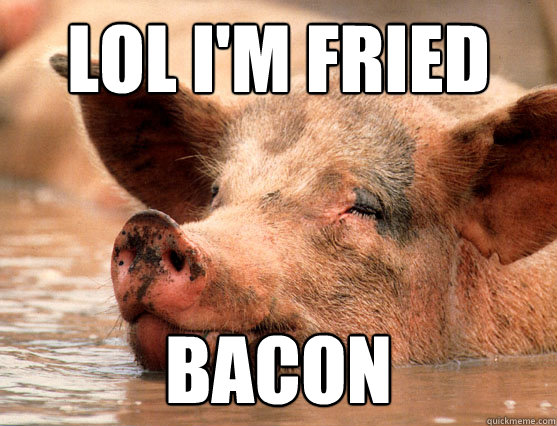 LOL I'm fried Bacon - LOL I'm fried Bacon  Stoner Pig