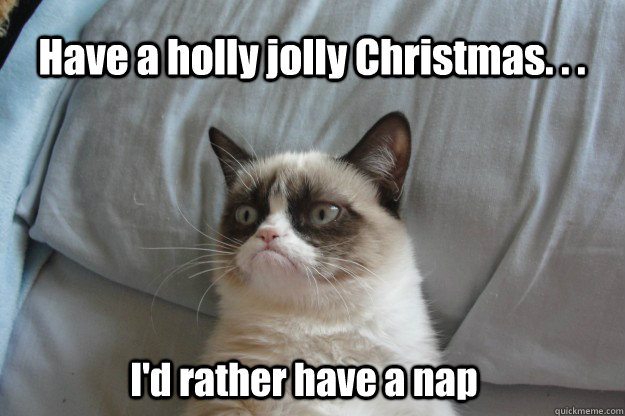 Have a holly jolly Christmas. . . I'd rather have a nap  tard grumpy cat
