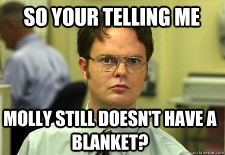 So your telling me Molly still doesn't have a blanket?  Schrute