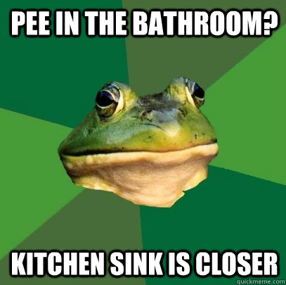 Pee in the bathroom? Kitchen sink is closer  Foul Bachelor Frog
