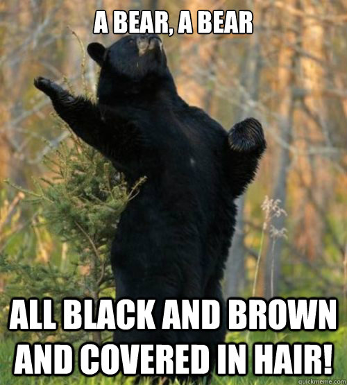 a bear, a bear all black and brown and covered in hair! - a bear, a bear all black and brown and covered in hair!  Shakesbear