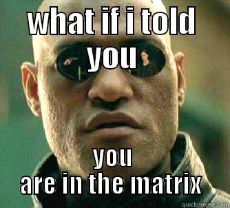 WHAT IF I TOLD YOU YOU ARE IN THE MATRIX  Matrix Morpheus