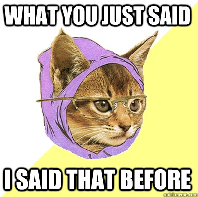 What You just said I said that before   Hipster Kitty