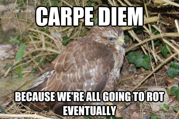 Carpe diem because we're all going to rot eventually  Buzzkill Buzzard