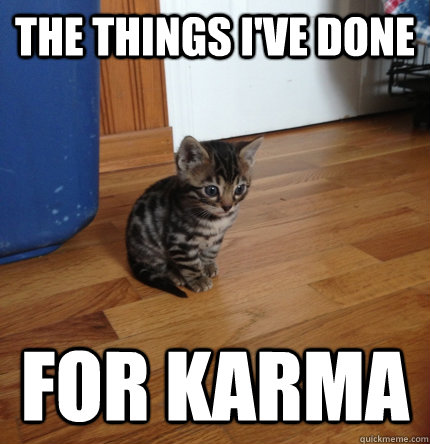 The things i've done for karma - The things i've done for karma  Nam Cat