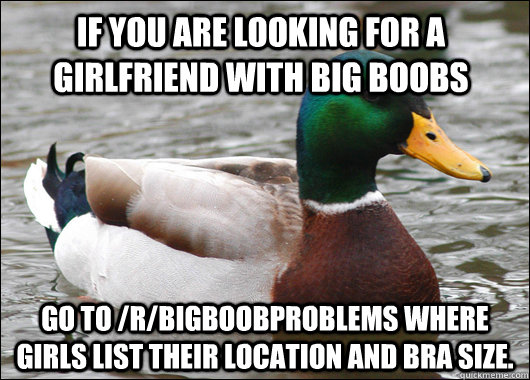 If you are looking for a girlfriend with big boobs go to /r/bigboobproblems where girls list their location and bra size.  - If you are looking for a girlfriend with big boobs go to /r/bigboobproblems where girls list their location and bra size.   Actual Advice Mallard