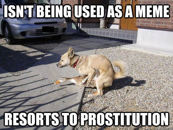 Isn't being used as a meme Resorts to prostitution - Isn't being used as a meme Resorts to prostitution  Real life Duckshit