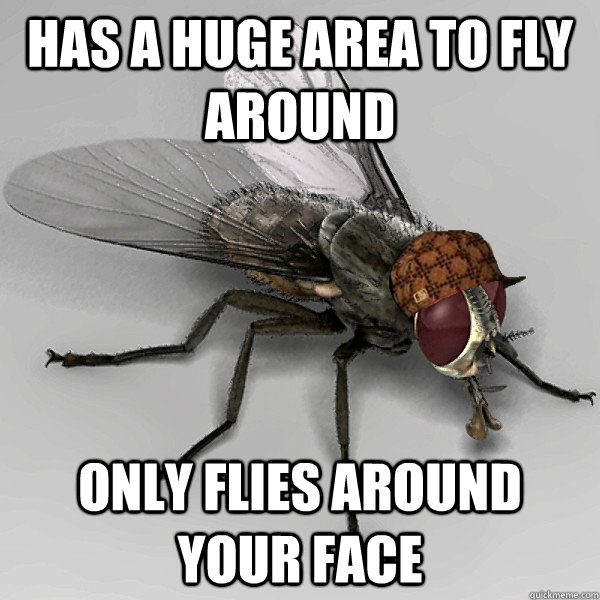 Has a huge area to fly around Only flies around your face   
