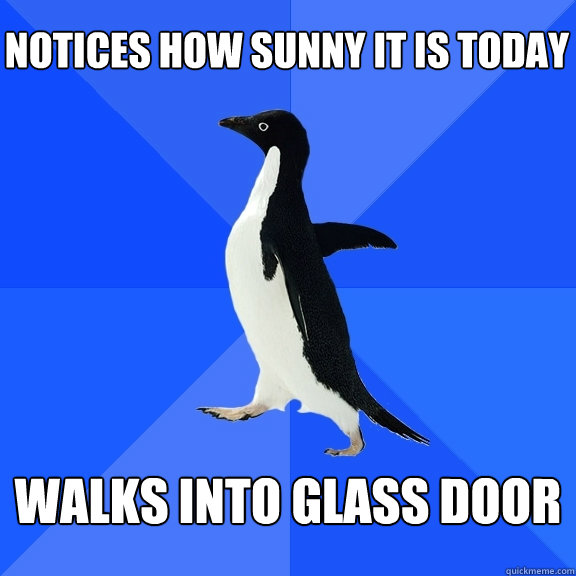notices how sunny it is today walks into glass door
  Socially Awkward Penguin