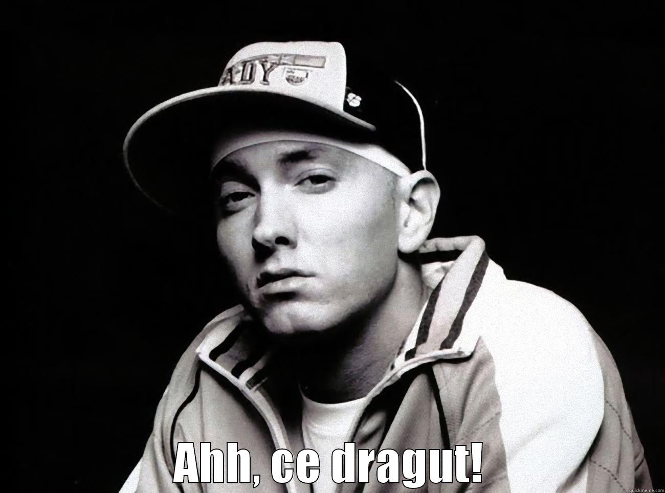 Rap god -  AHH, CE DRAGUT! Misc