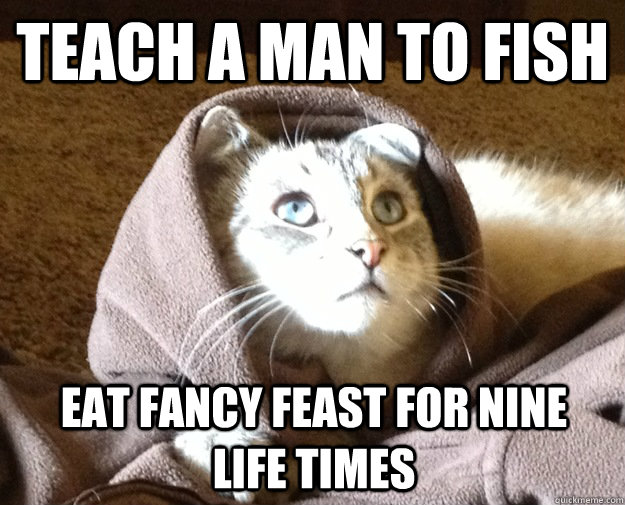 Teach a man to fish eat fancy feast for nine life times  Kitty Jesus