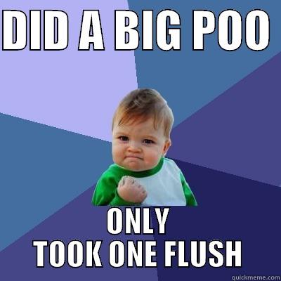 DID A BIG POO  ONLY TOOK ONE FLUSH Success Kid