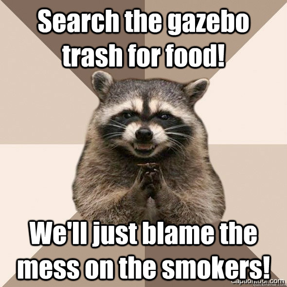 Search the gazebo trash for food! We'll just blame the mess on the smokers! - Search the gazebo trash for food! We'll just blame the mess on the smokers!  DLI real Scheming raccoons