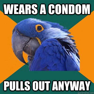 wears a condom pulls out anyway  Paranoid Parrot
