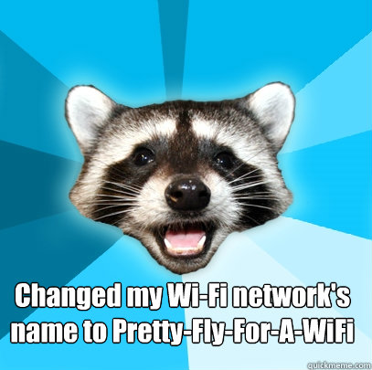 Changed my Wi-Fi network's name to Pretty-Fly-For-A-WiFi   Lame Pun Coon
