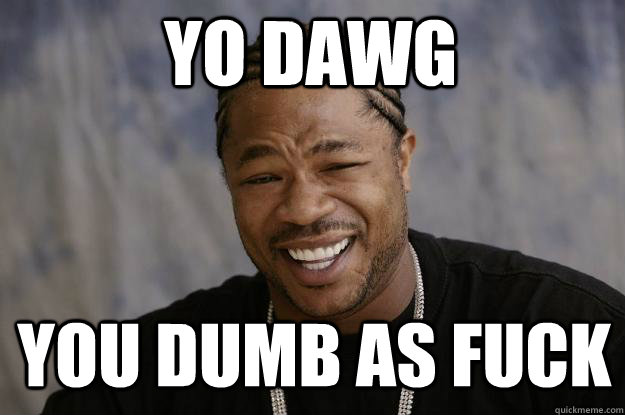 yo dawg you dumb as fuck  Xzibit meme 2