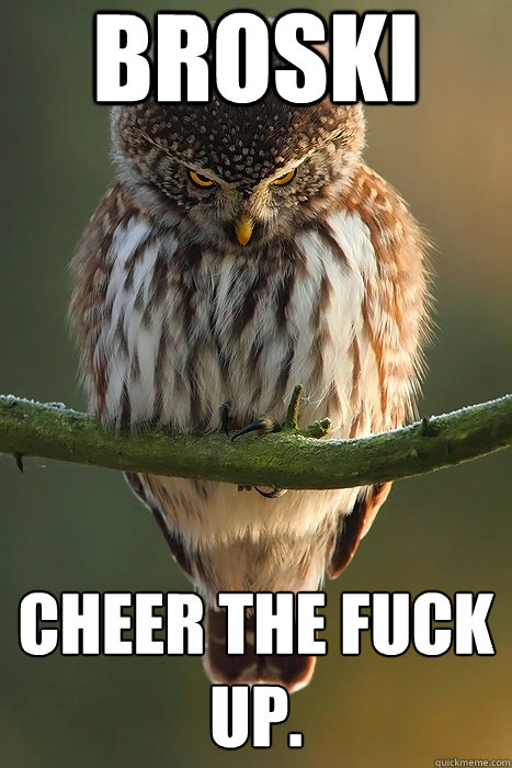 broski Cheer the fuck up.  Angry Owl