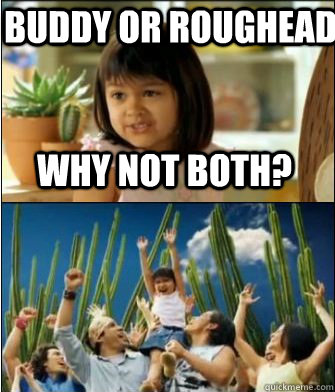 Why not both? Buddy or roughead  Why not both
