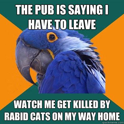 the pub is saying i have to leave  watch me get killed by rabid cats on my way home  Paranoid Parrot