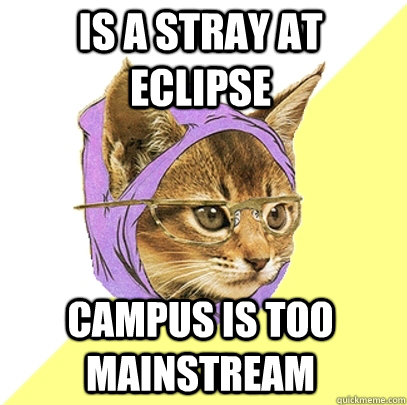 is a stray at eclipse campus is too mainstream  Hipster Kitty