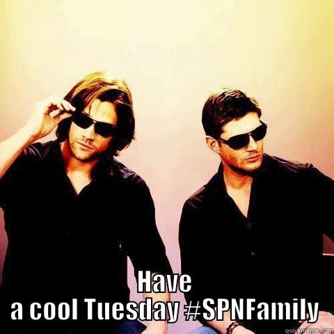  HAVE A COOL TUESDAY #SPNFAMILY Misc