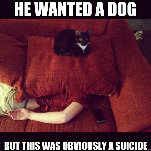 He wanted a dog But this was obviously a suicide  jealous cat