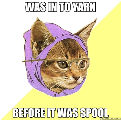 WAS IN TO YARN BEFORE IT WAS SPOOL  Hipster Kitty