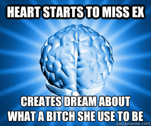 heart starts to miss ex creates dream about what a bitch she use to be - heart starts to miss ex creates dream about what a bitch she use to be  Good Guy Brain