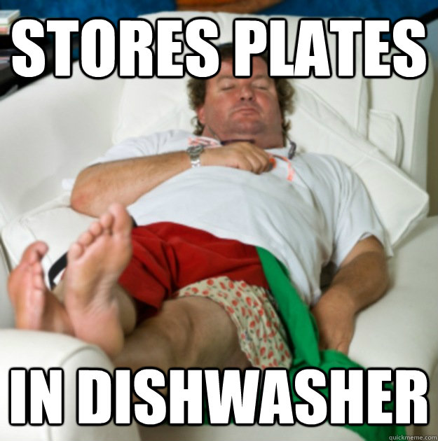 Stores plates In dishwasher  Lazy Larry