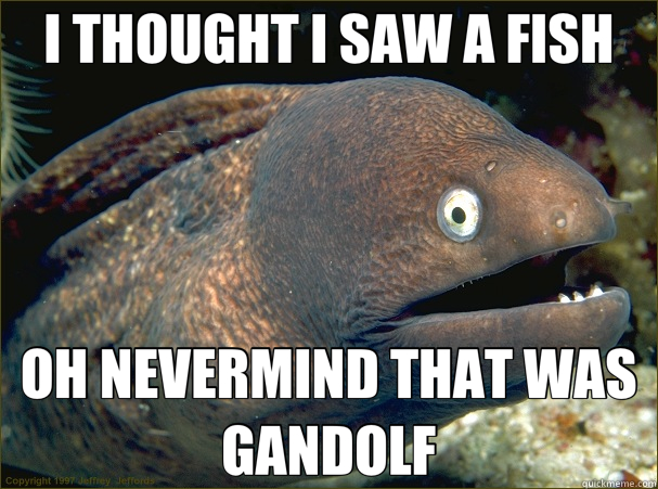 I THOUGHT I SAW A FISH OH NEVERMIND THAT WAS GANDOLF  Bad Joke Eel