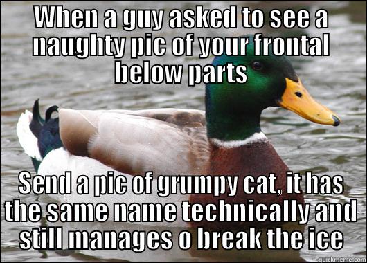 WHEN A GUY ASKED TO SEE A NAUGHTY PIC OF YOUR FRONTAL BELOW PARTS SEND A PIC OF GRUMPY CAT, IT HAS THE SAME NAME TECHNICALLY AND STILL MANAGES O BREAK THE ICE Actual Advice Mallard