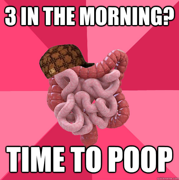 3 in the morning? time to poop - 3 in the morning? time to poop  Scumbag Intestines
