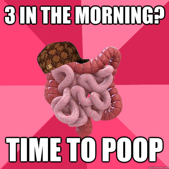 3 in the morning? time to poop  Scumbag Intestines