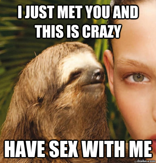 I just met you and this is crazy Have sex with me  rape sloth