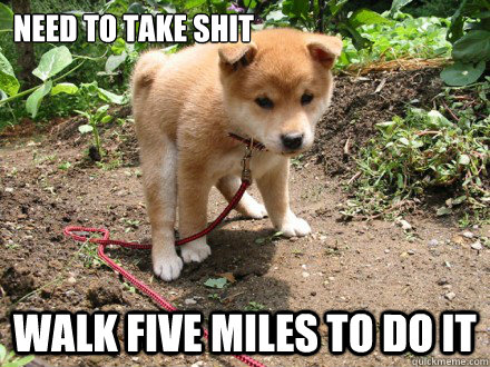 Need to take shit Walk five miles to do it - Need to take shit Walk five miles to do it  Shiba Poop
