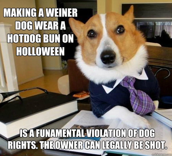 Making a weiner dog wear a hotdog bun on holloween is a funamental violation of dog rights. the owner can legally be shot. - Making a weiner dog wear a hotdog bun on holloween is a funamental violation of dog rights. the owner can legally be shot.  Lawyer Dog