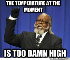 the temperature at the moment is too damn high  to damn high