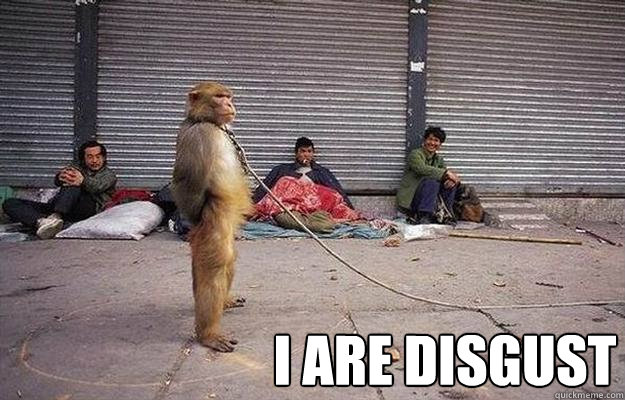 i are disgust - i are disgust  Superior Monkey