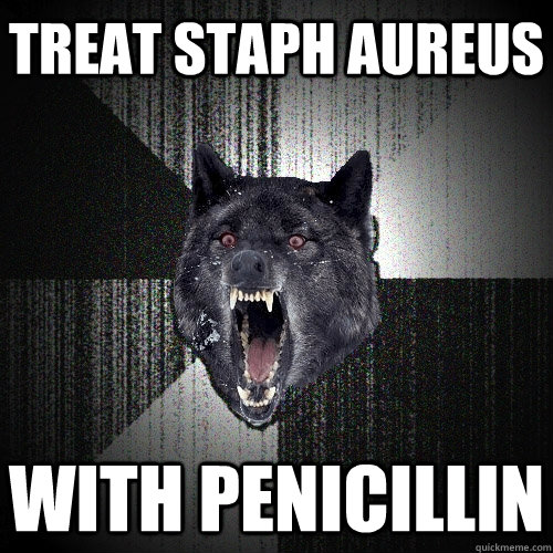 Treat Staph Aureus With Penicillin  Insanity Wolf
