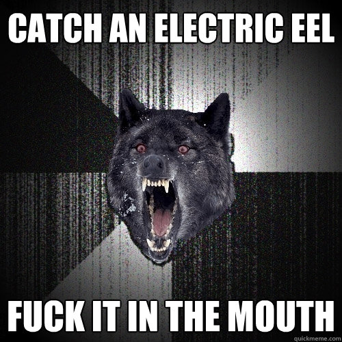 catch an electric eel fuck it in the mouth  Insanity Wolf