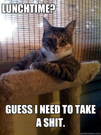 Lunchtime? Guess i need to take a shit.  The Most Interesting Cat in the World