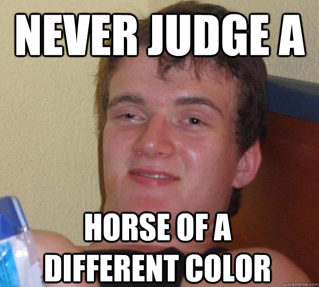 NEVER JUDGE A  HORSE OF A DIFFERENT COLOR - NEVER JUDGE A  HORSE OF A DIFFERENT COLOR  10 Guy
