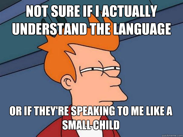 not sure if I actually understand the language or if they're speaking to me like a small child - not sure if I actually understand the language or if they're speaking to me like a small child  Futurama Fry