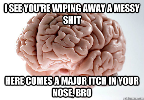 I SEE YOU'RE WIPING AWAY A MESSY SHIT HERE COMES A MAJOR ITCH IN YOUR NOSE, BRO  Scumbag Brain