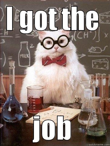 I GOT THE JOB Chemistry Cat